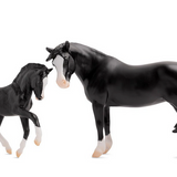 Nistar Blazing Kansas LOM & GTF Blazing Ethel