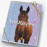 Horse Boxed Christmas Cards