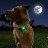 Nite Ize Rechargeable Pet Light - Disc-O Tech