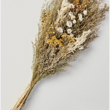 Preserved Bundle Spring Grass