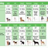 Chilly Dog Mushroom Dog Sweater